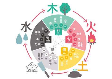 五行体神奉|【漢方基礎知識】中医学の基礎となる哲学「五行学説」 │ 【漢。